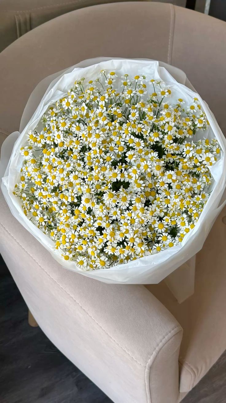 Солнечная Поляна